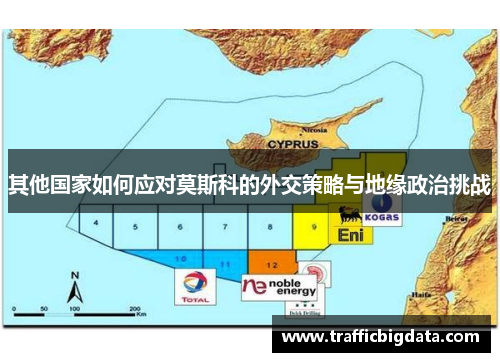 其他国家如何应对莫斯科的外交策略与地缘政治挑战