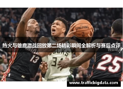 热火与雄鹿激战回放第二场精彩瞬间全解析与赛后点评