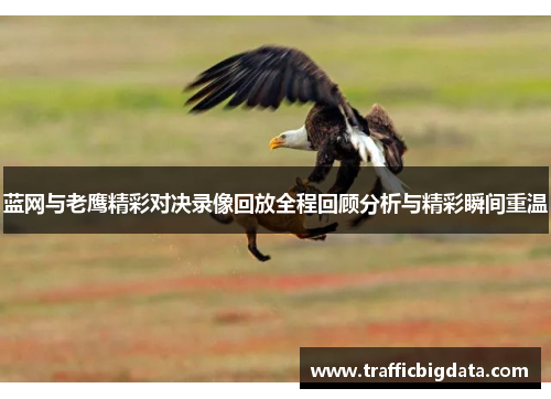 蓝网与老鹰精彩对决录像回放全程回顾分析与精彩瞬间重温