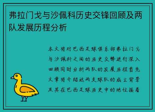 弗拉门戈与沙佩科历史交锋回顾及两队发展历程分析